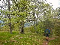 Kieneck (106 Bildaufrufe)