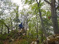 Bild 16 (82 Bildaufrufe)