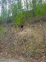 Bild 17 (118 Bildaufrufe)