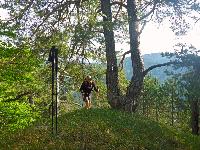 Bild 23 (84 Bildaufrufe)