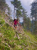 Bild 25 (81 Bildaufrufe)