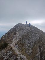 Bild 11 (90 Bildaufrufe)