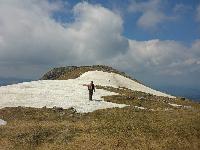 Bild 20 (91 Bildaufrufe)