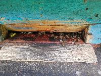 Bild 5 (86 Bildaufrufe)
