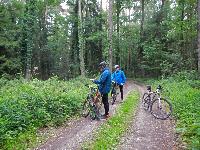 Seelackenberg - Gutenbrunner Wald (66 Bildaufrufe)