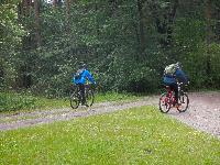 Bild 14 (99 Bildaufrufe)