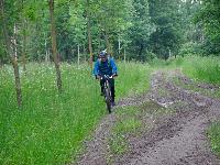 Seelackenberg - Gutenbrunner Wald (68 Bildaufrufe)