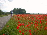 Bild 20 (93 Bildaufrufe)