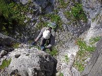 Bild 10 (83 Bildaufrufe)