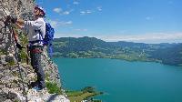 Bild 14 (87 Bildaufrufe)