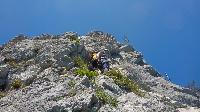 Bild 26 (81 Bildaufrufe)