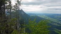 Bild 33 (77 Bildaufrufe)