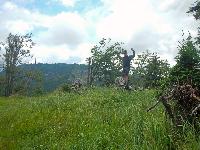 Bild 4 (84 Bildaufrufe)