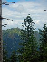 Bild 5 (76 Bildaufrufe)