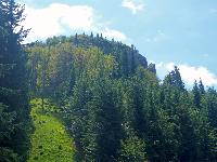 Bild 7 (69 Bildaufrufe)