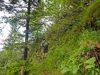 Bild 10 (75 Bildaufrufe)