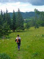 Bild 22 (69 Bildaufrufe)
