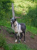 Bild 23 (73 Bildaufrufe)