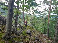 Bild 3 (68 Bildaufrufe)