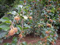 Bild 7 (66 Bildaufrufe)