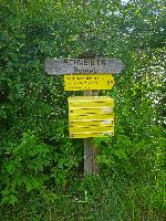 Bild 14 (49 Bildaufrufe)