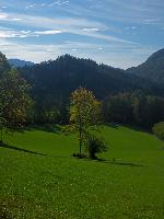 Poldlberg, Thorecker Kogel (108 Bildaufrufe)
