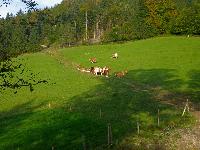 Poldlberg, Thorecker Kogel (104 Bildaufrufe)