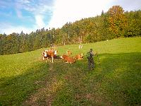 Poldlberg, Thorecker Kogel (112 Bildaufrufe)