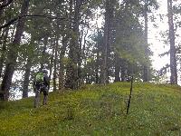 Bild 4 (59 Bildaufrufe)