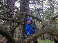 Bild 6 (71 Bildaufrufe)