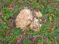 Bild 7 (75 Bildaufrufe)