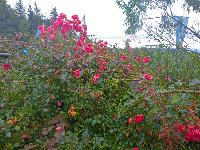 Bild 4 (46 Bildaufrufe)