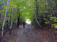 Bild 8 (55 Bildaufrufe)