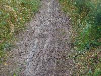 Bild 9 (52 Bildaufrufe)