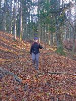 Bild 5 (54 Bildaufrufe)
