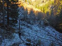 Bild 2 (89 Bildaufrufe)