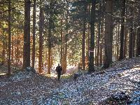 Bild 4 (76 Bildaufrufe)