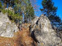 Bild 7 (81 Bildaufrufe)