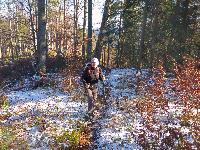 Bild 11 (74 Bildaufrufe)