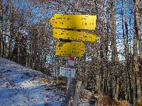 Bild 14 (103 Bildaufrufe)