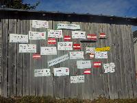 Bild 16 (75 Bildaufrufe)