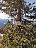 Bild 11 (87 Bildaufrufe)