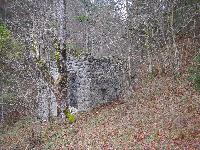Bild 1 (42 Bildaufrufe)