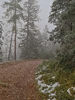 Bild 2 (86 Bildaufrufe)