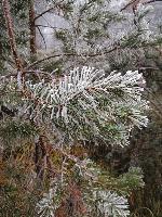 Bild 3 (41 Bildaufrufe)