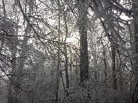 Bild 10 (45 Bildaufrufe)