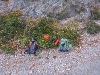 Bild 16 (42 Bildaufrufe)