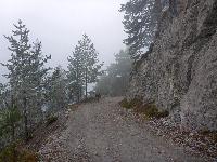 Schobergupf (48 Bildaufrufe)