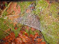 Bild 18 (41 Bildaufrufe)