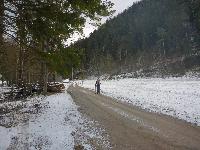 Bild 1 (52 Bildaufrufe)